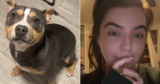 Girlfriend Confused As To Why Their Dog Is Shiny, But Her Boyfriend Tells Her Why