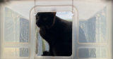 Give Your Cat A View Of The Outside World From A Cat Window Patio