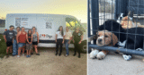 Hero VIP Members Made This Iowa Rescue Road Trip Possible for 25 Dogs in Need