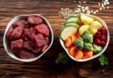 How Do the Top Fresh Dog Food Companies Compare?
