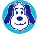 How to Turn Your Daily Dog Walk Into Mental Enrichment (Without More Time)