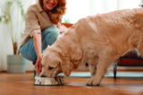 How to read pet food labels