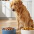 10 Best Subscription & Delivery Dog Foods [2026]