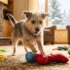 4 Signs Your Dog Is Over Holiday Socializing