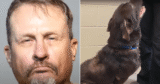 Man Accused of Neglecting Flea-Infested Dogs Faces Animal Cruelty Charges