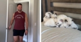 Man Discovers What Happens When Kittens Steal His Pillow