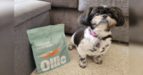 Ollie Dog Food Review: My Low-Energy Dog Tried Fresh Food For The First Time