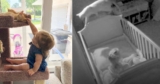 Rescue Cat Sneaks into His Beloved Sister’s Crib for a Midnight Visit