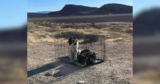 Rescuers Shocked After Finding Dogs Trapped In Cage In Scorching Desert Heat