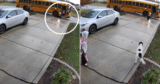Ring Cam Captures Kids Returning From School, And The Dog Has A Favorite