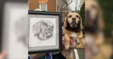 Senior Dog Left at Shelter With Everything She Had — And a Portrait That Broke Hearts