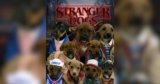 Shelter Dresses Puppies as Stranger Things Characters to Boost Adoptions