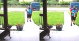 This Delivery Driver Was Scared of Dogs Until One Friendly Pup Said Hello