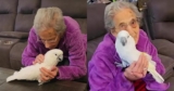 This Parrot Chose A 102-Year-Old Grandma And It Felt Like A Sign From Grandpa