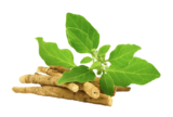 Why Ashwagandha Always Ranks in the Top 4 Most Popular Adaptogens for Pet Stress
