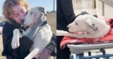Woman Rescues Two-Legged Pittie At Gas Station…Now She’s Unstoppable