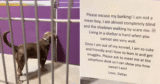 Woman Visits Shelter, But Note Found On Door Breaks Her Heart